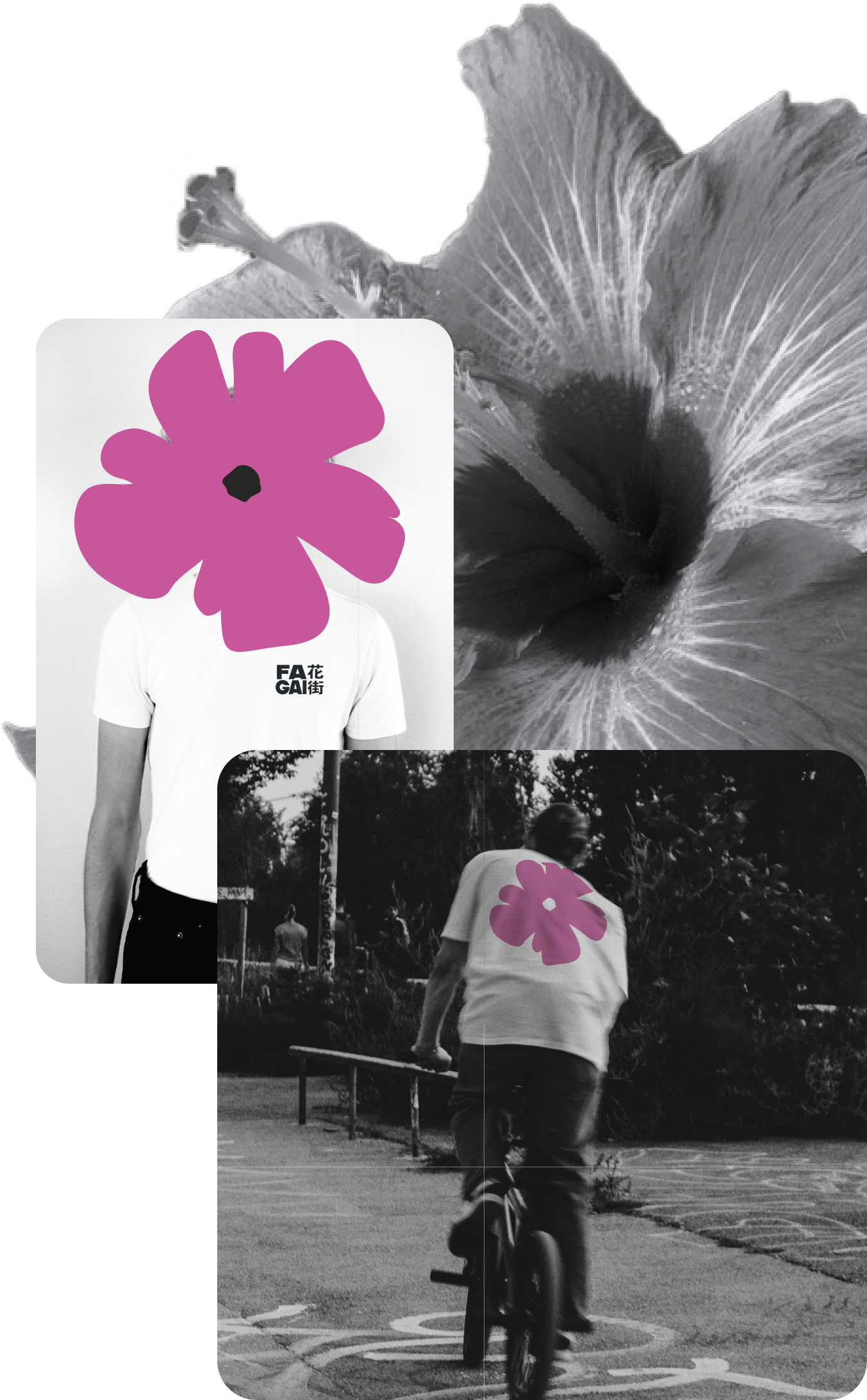 Black and white hibiscus with lifestyle photography