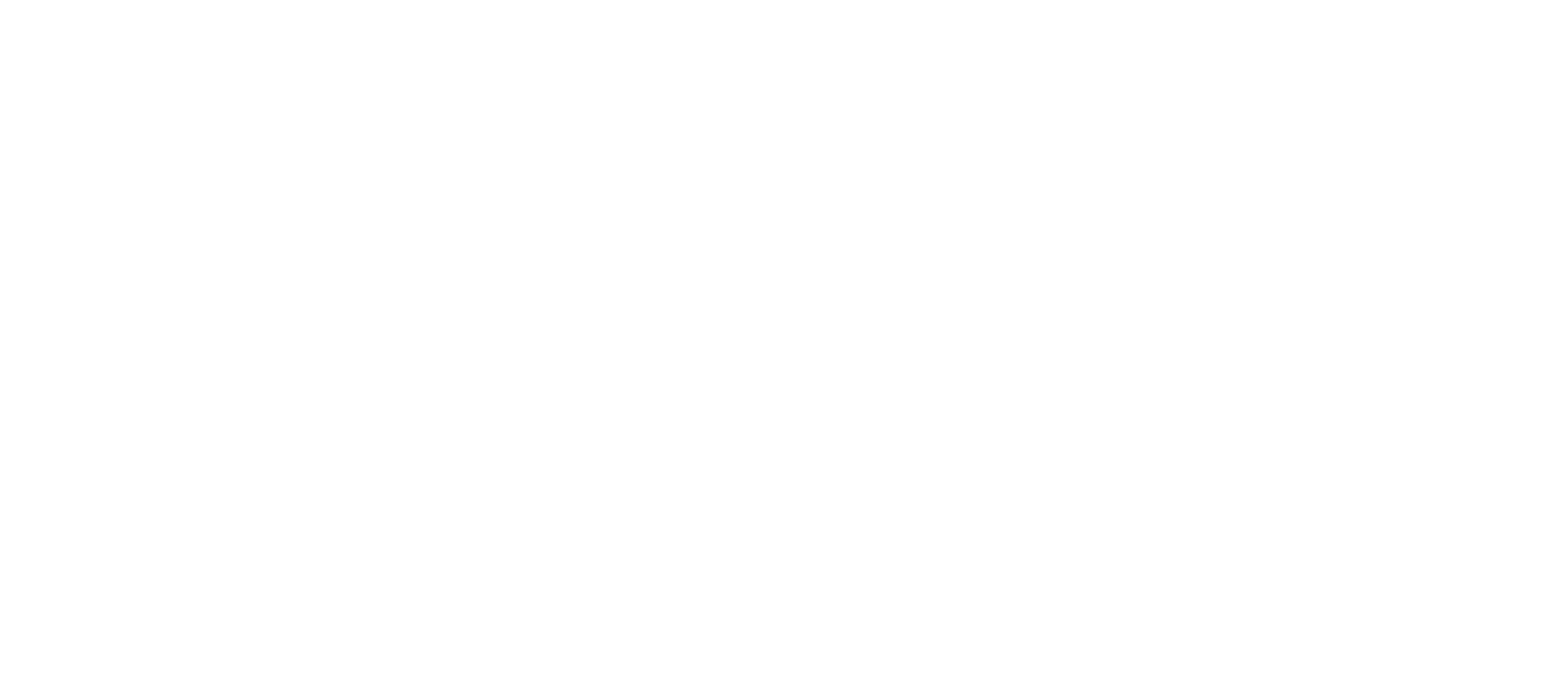 Plastic Pirates branding