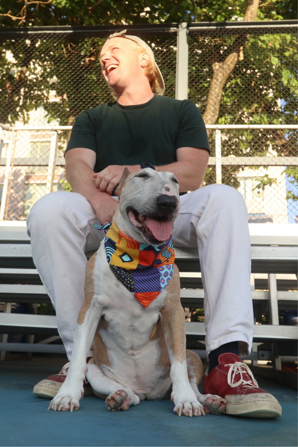 Man laughing with a bull terrier wearing a colourful Scruff bandana on bleachers