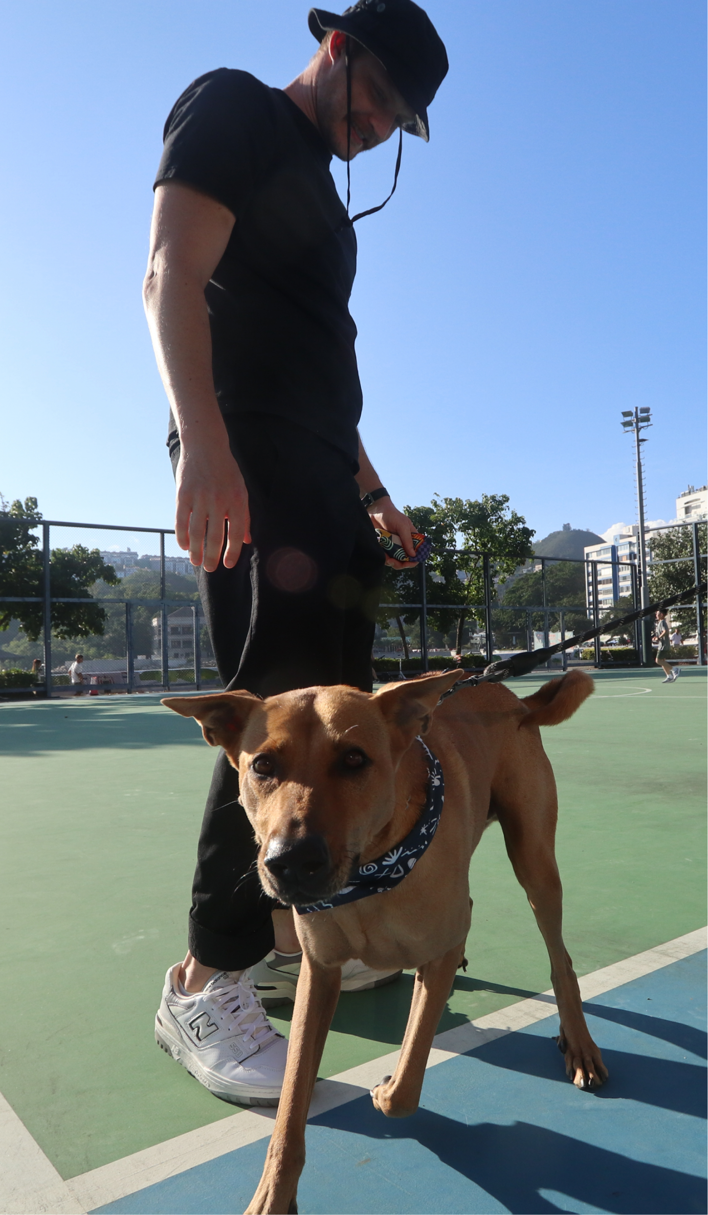 Man walking a dog across a tennis court wearing a Scruff bandana